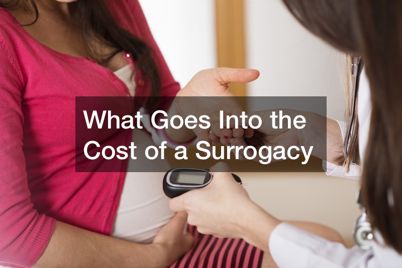 What Goes Into the Cost of a Surrogacy