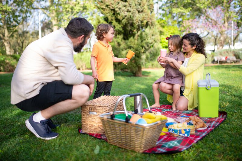 a family having a picnic